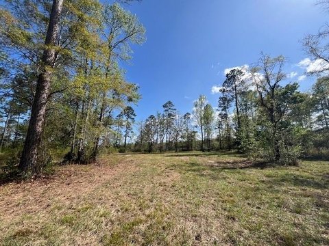 Marsh Front Homesite Opportunity