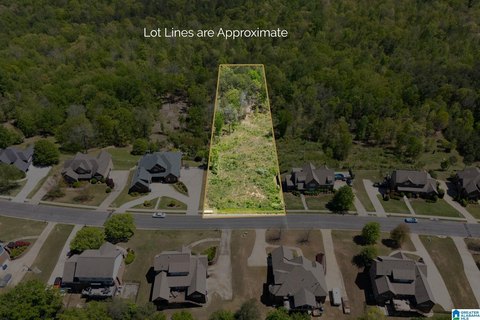 LAND/LOTS, HOOVER, AL