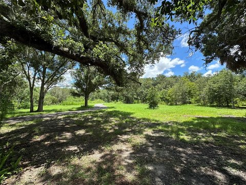 Land, PALM HARBOR, FL