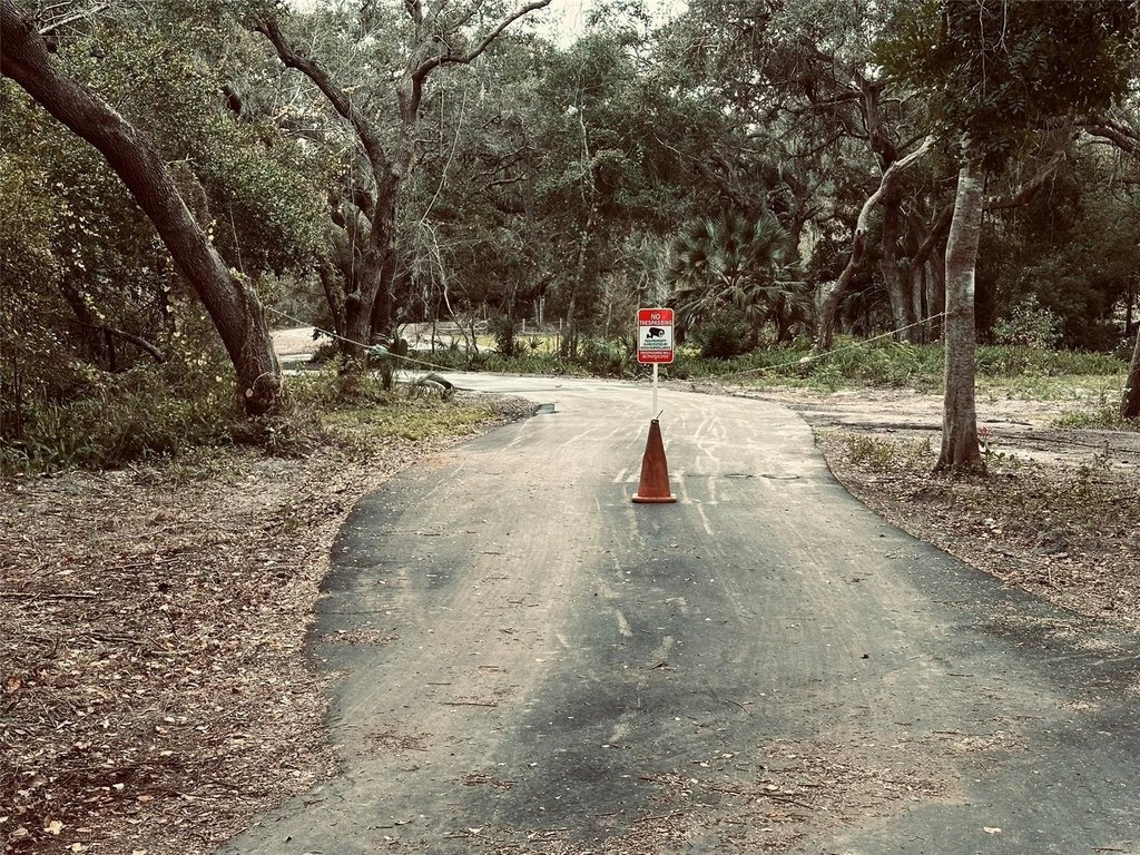 Picture 39