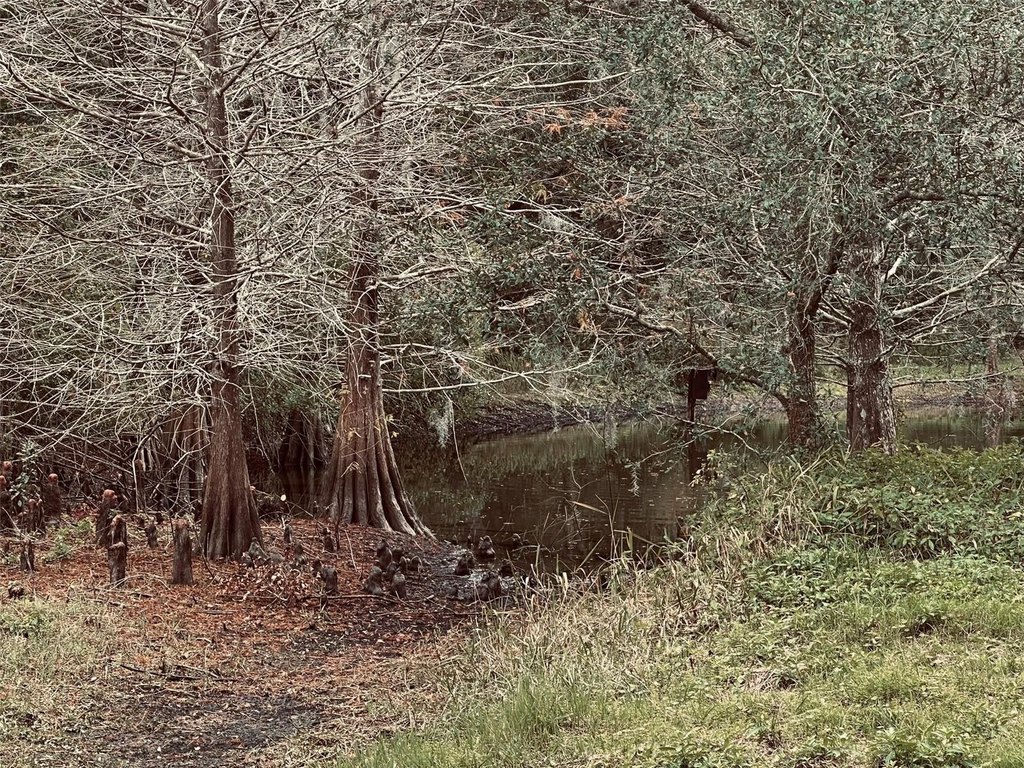 Picture 27