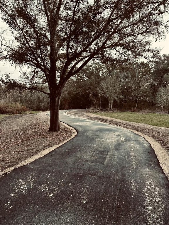 Picture 8