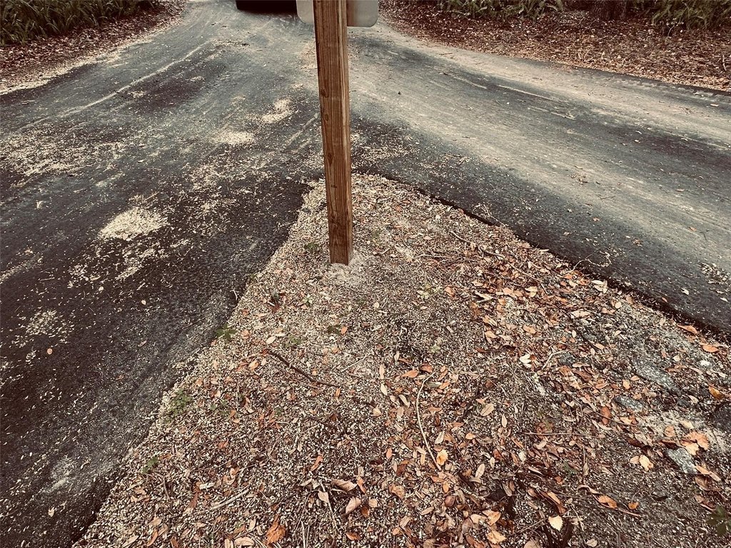 Picture 43