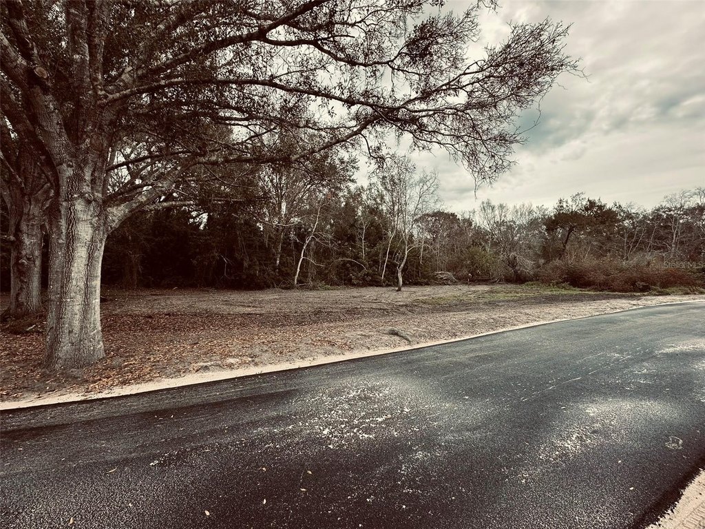 Picture 22