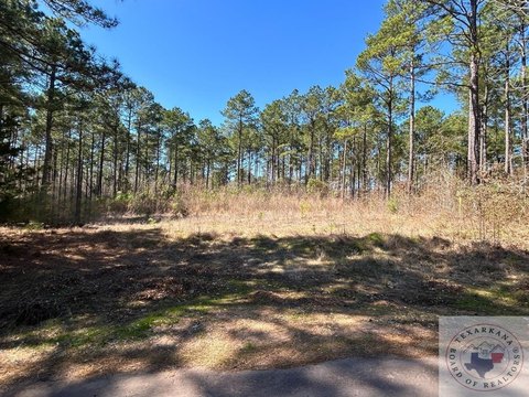 60 Acres Timber Investment Property