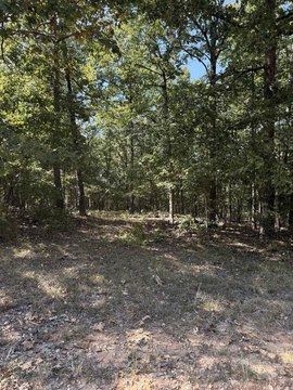Vacant Land, Paragould, AR