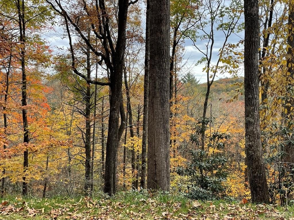 Cashiers, NC Mountain View Land