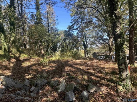 Residential Lot Near Lake Guntersville