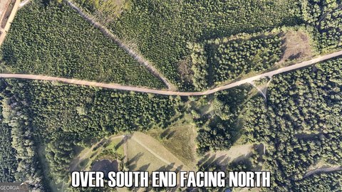 Land in Sardis, Georgia