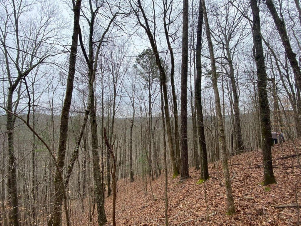 Picture 16