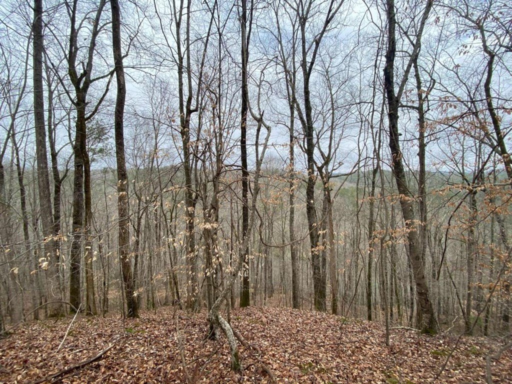 Picture 18