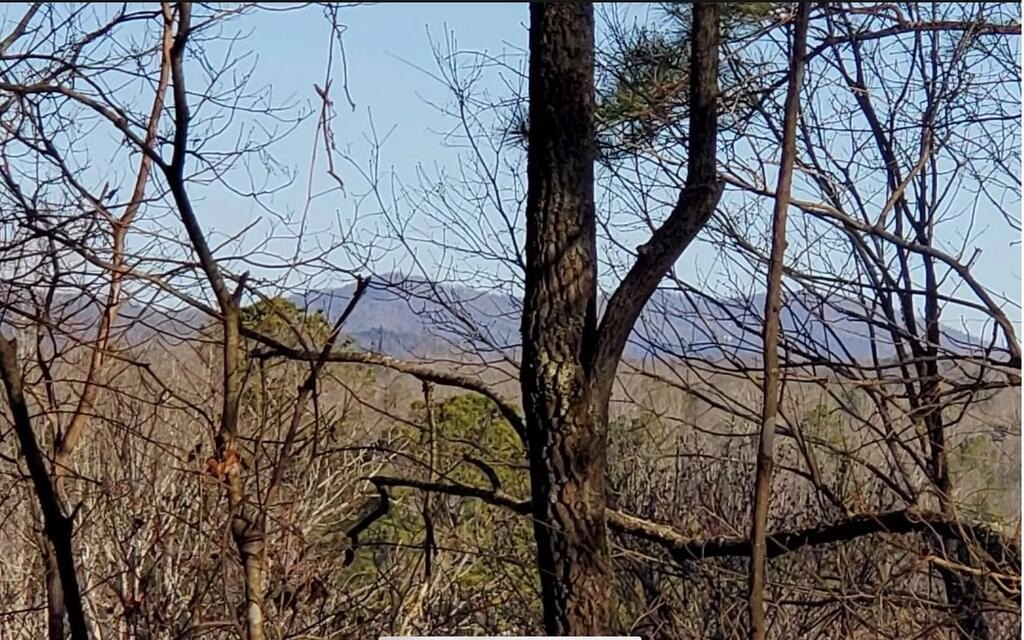 Picture 25