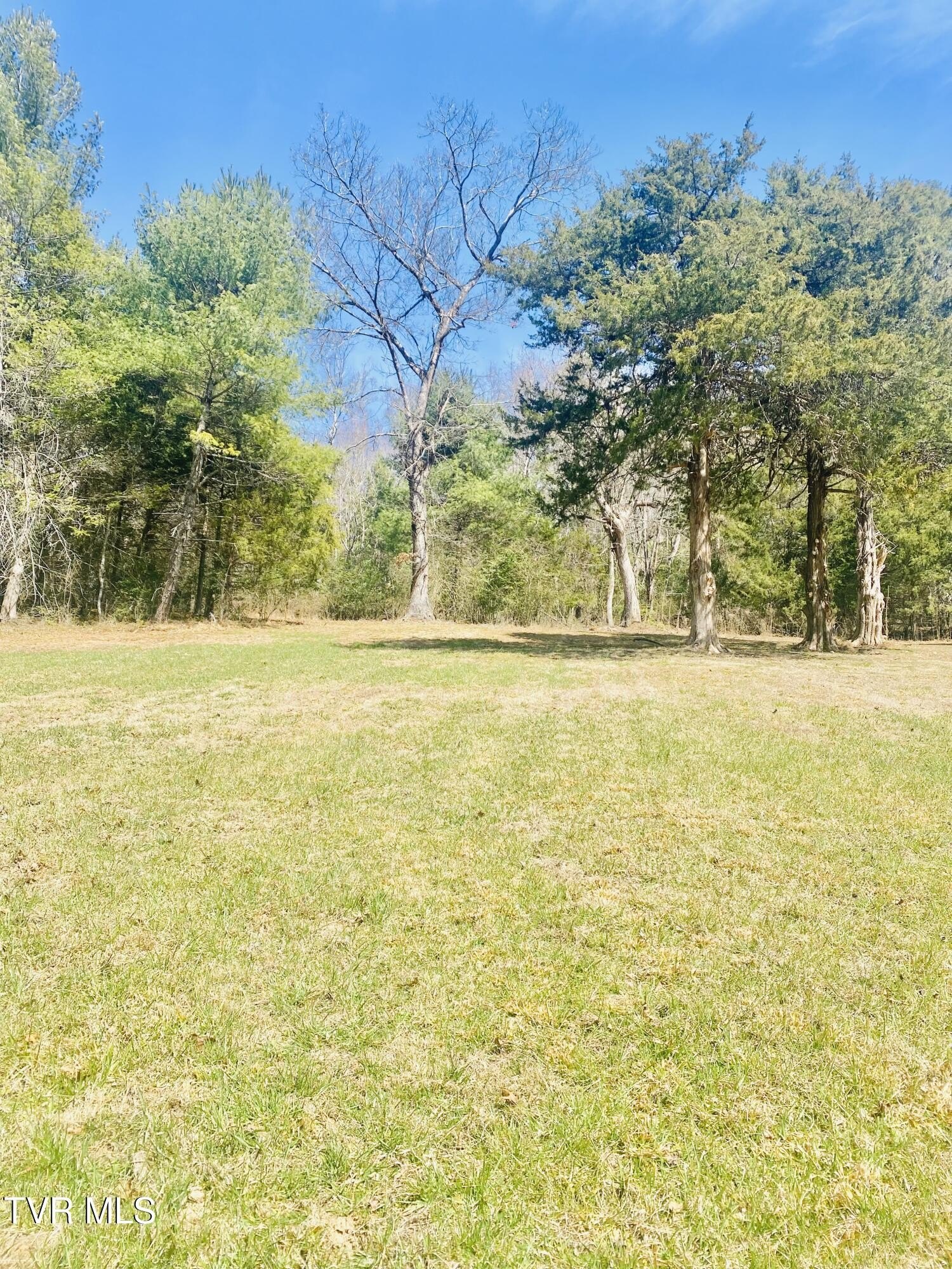 Land in Watauga Lake Area