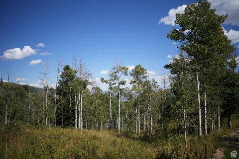 Wanship, UT Open Land