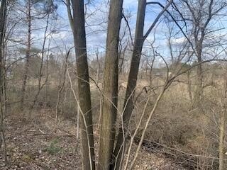 Land, Remus, MI