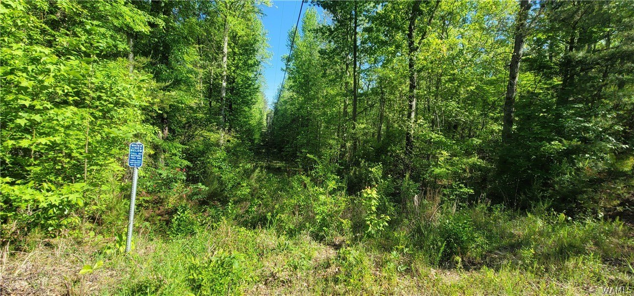Northport Land with Mature Trees