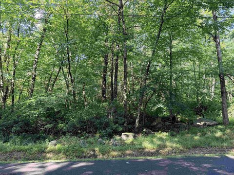 Lots/Land, Terra Alta, WV