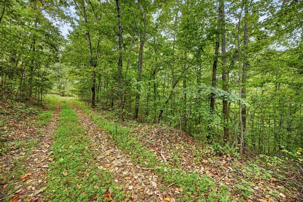 Picture 17