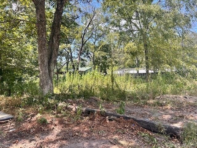 Residential Lot in DeWitt, AR