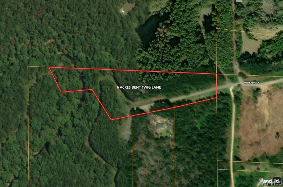 6.1 Acres in Brookwood, AL