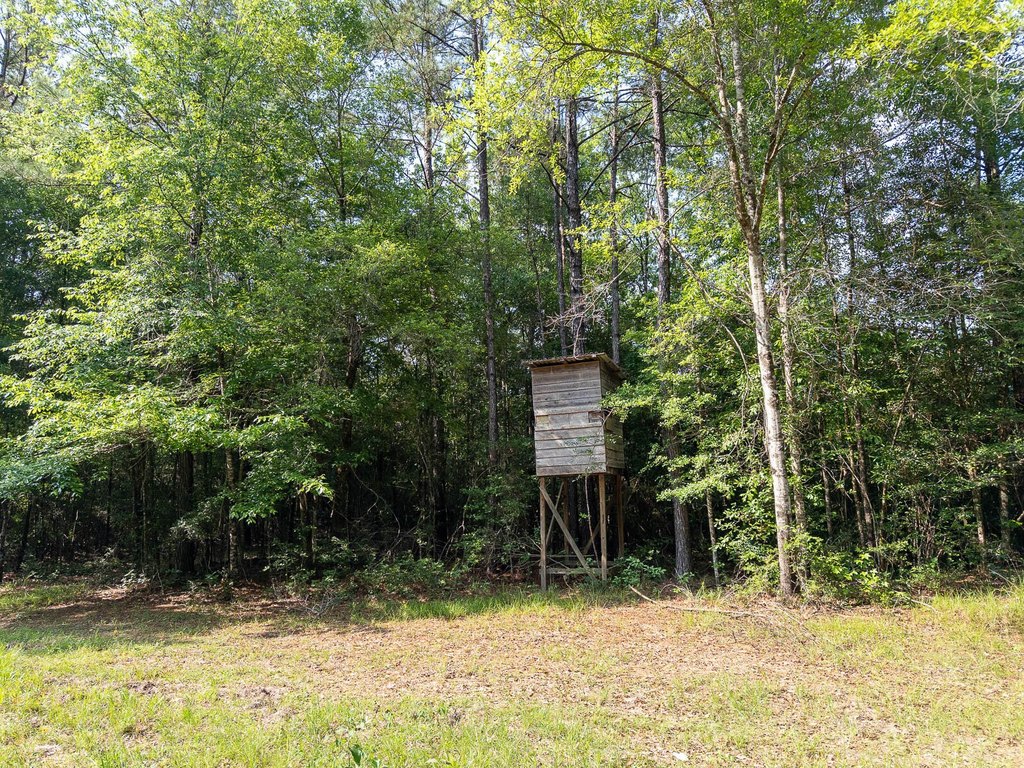 Picture 7