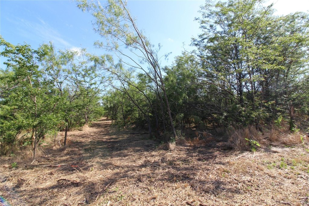 Picture 15