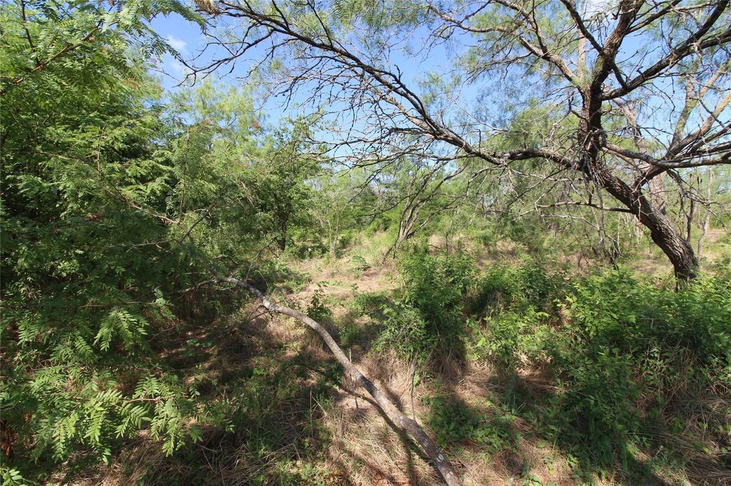 Picture 12