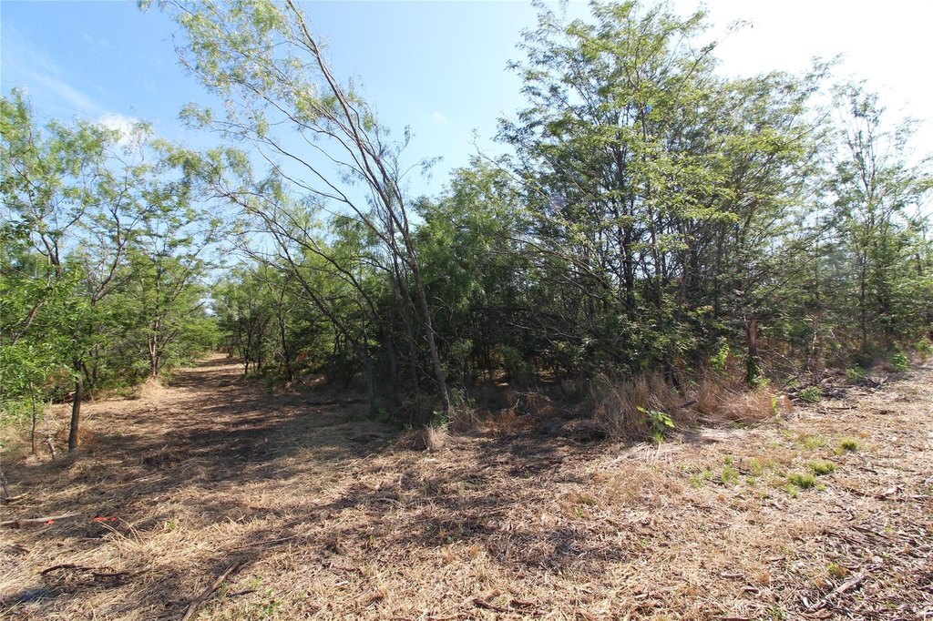 Picture 14