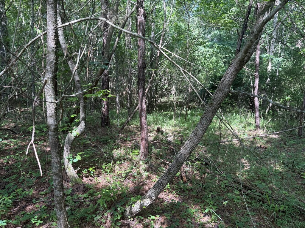 Picture 4