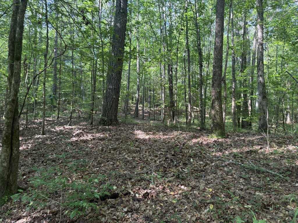 Picture 3