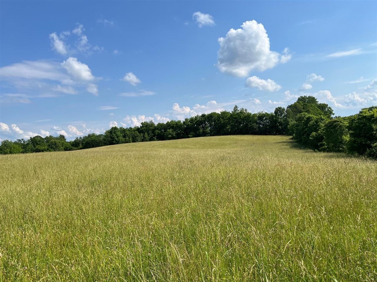 24 Acres Near Smiths Grove