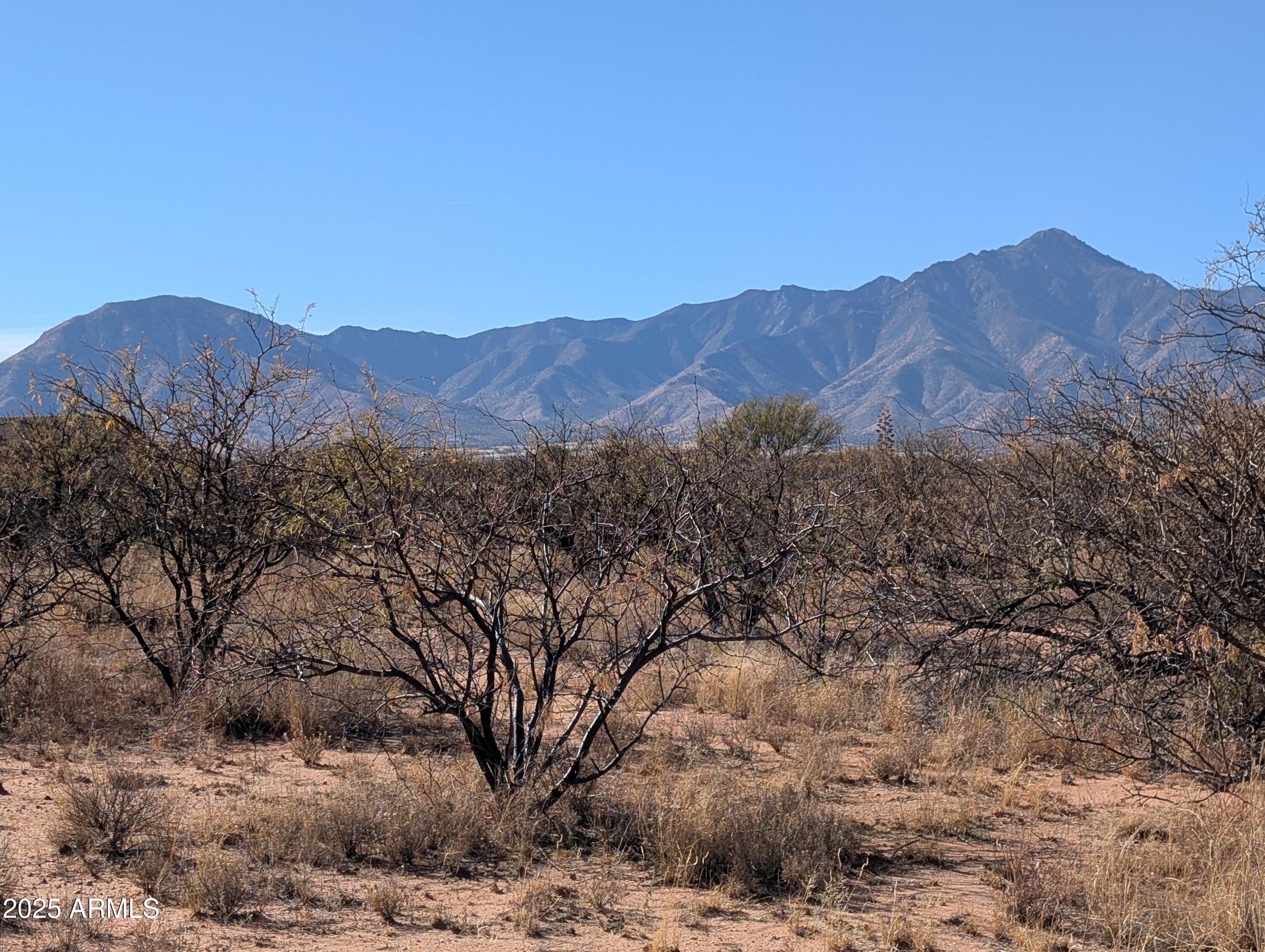 Hereford Land with Mountain Views