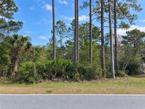Land, EUSTIS, FL