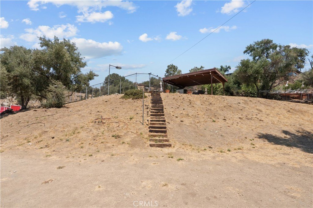 Picture 24