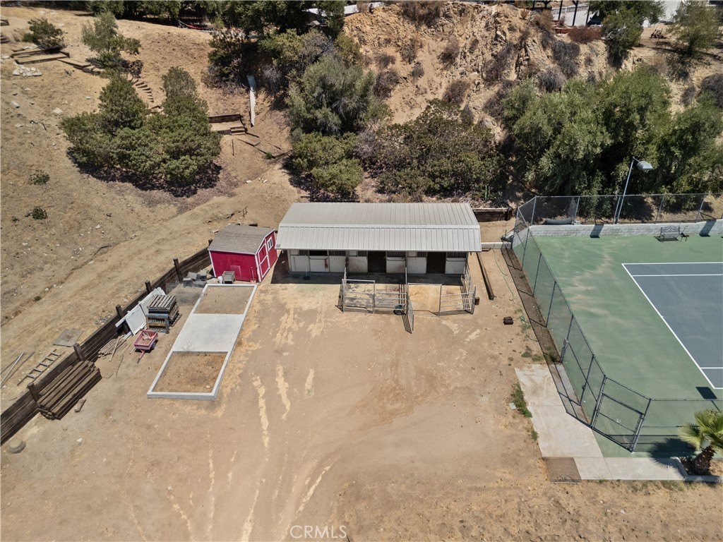 Picture 13