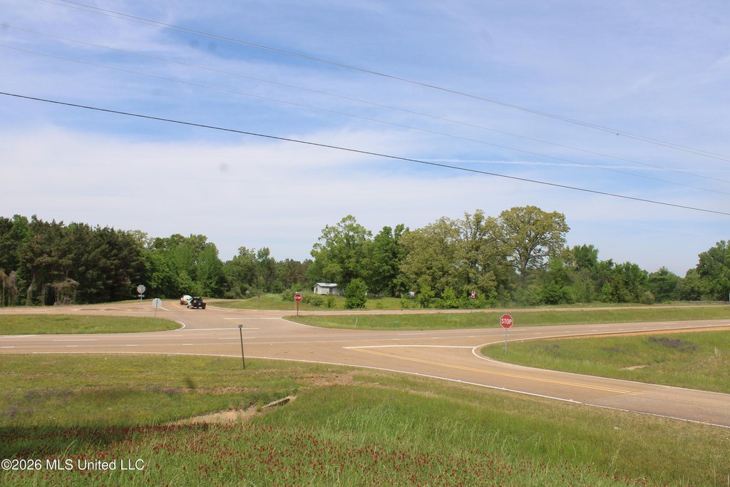 Picture 14