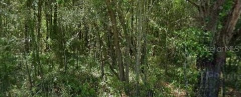 Land, DUNNELLON, FL