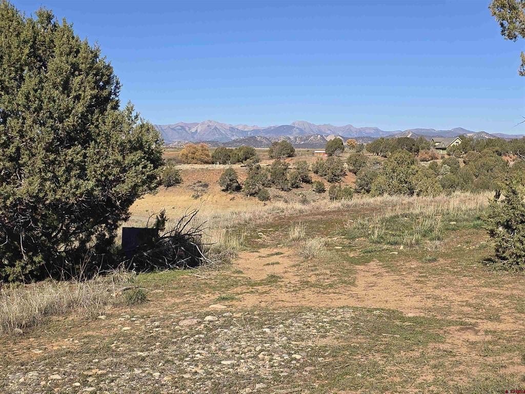 Durango Land For Sale
