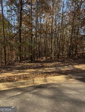 Residential Land in Cedar Creek