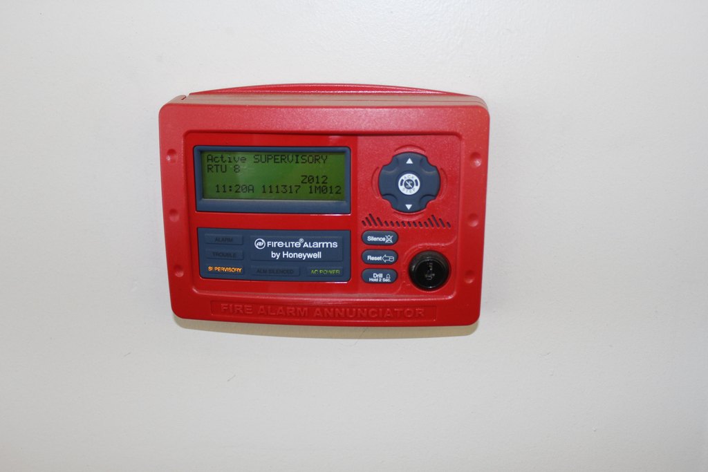 Picture 7