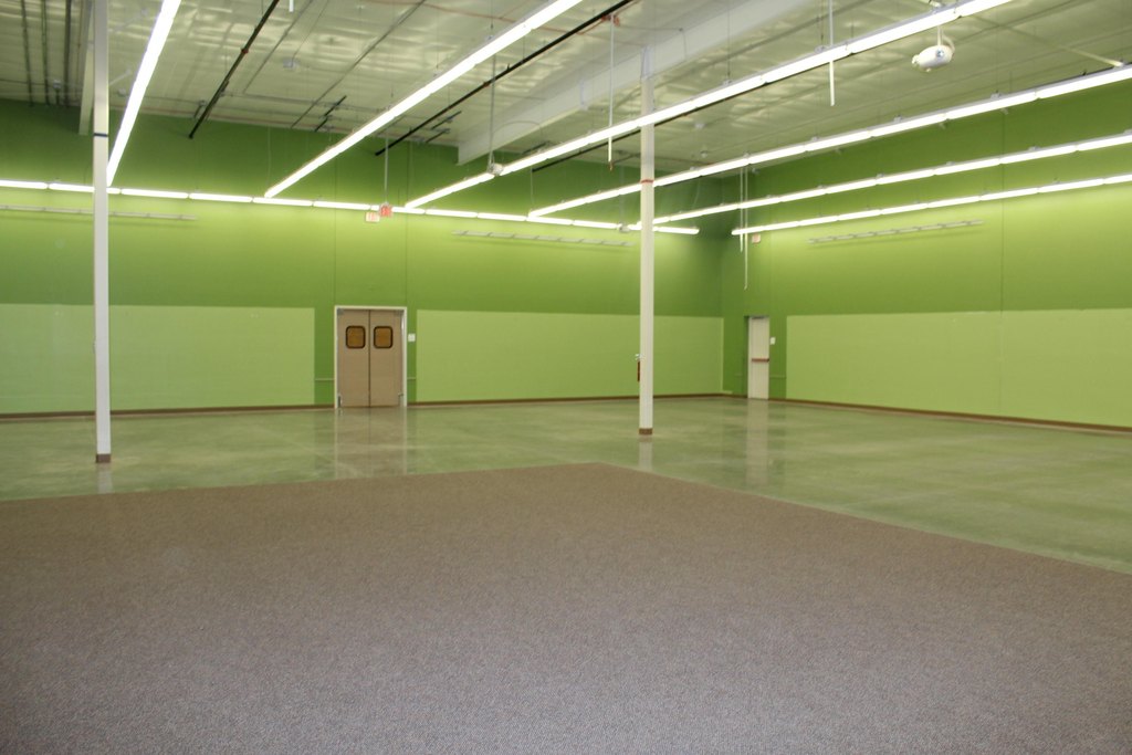 Picture 15