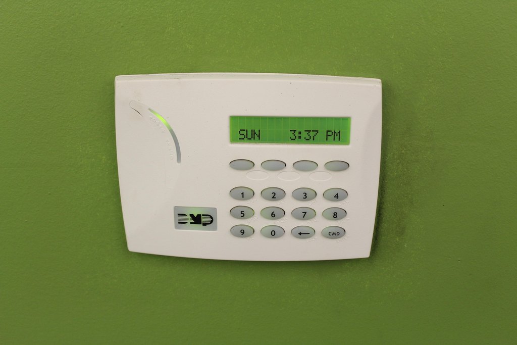 Picture 6