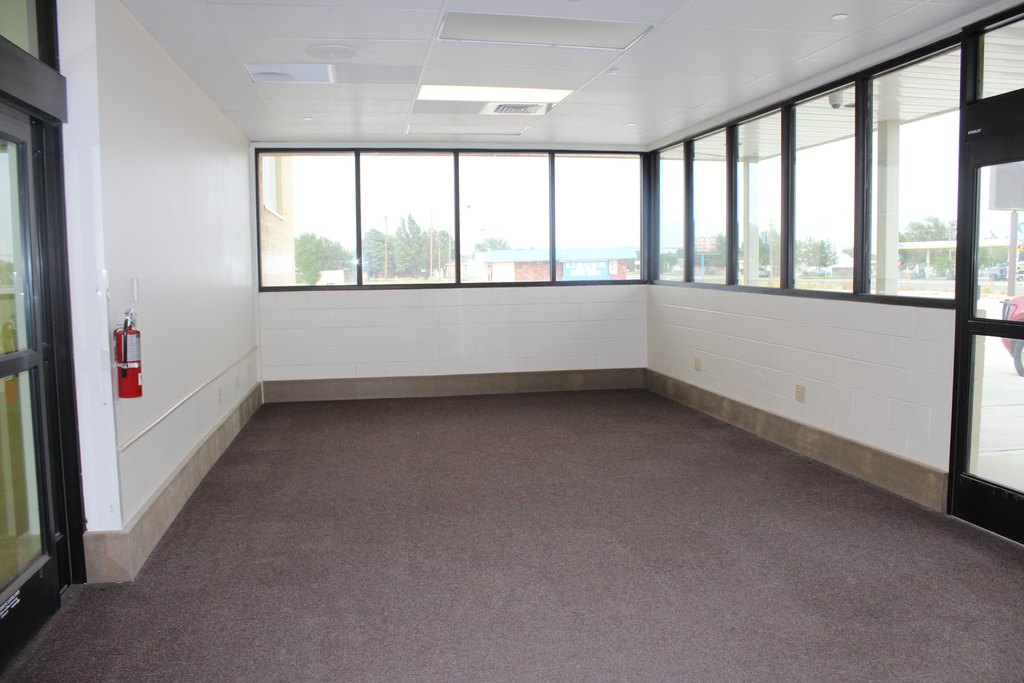 Picture 8