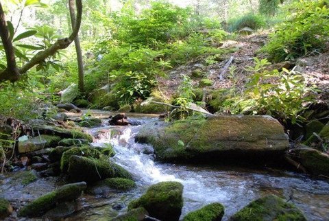 Creek Front Lot in Bryson