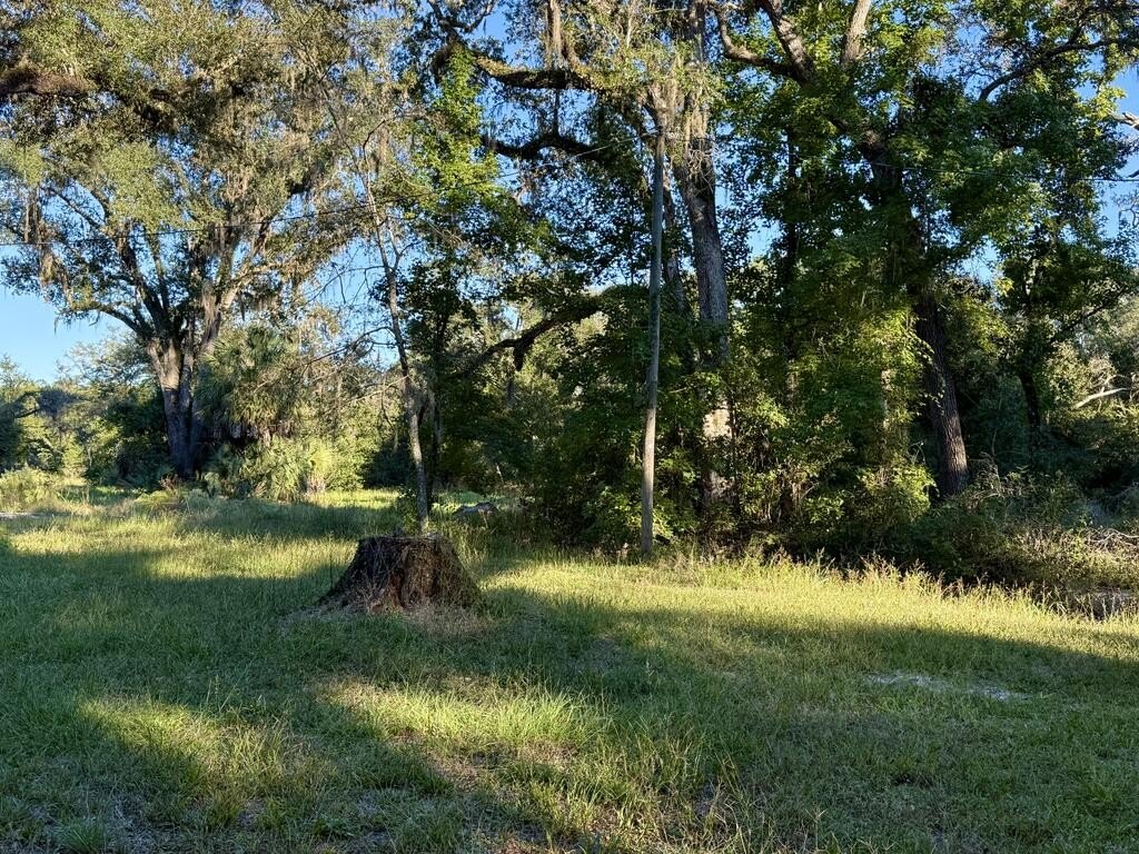 Picture 5