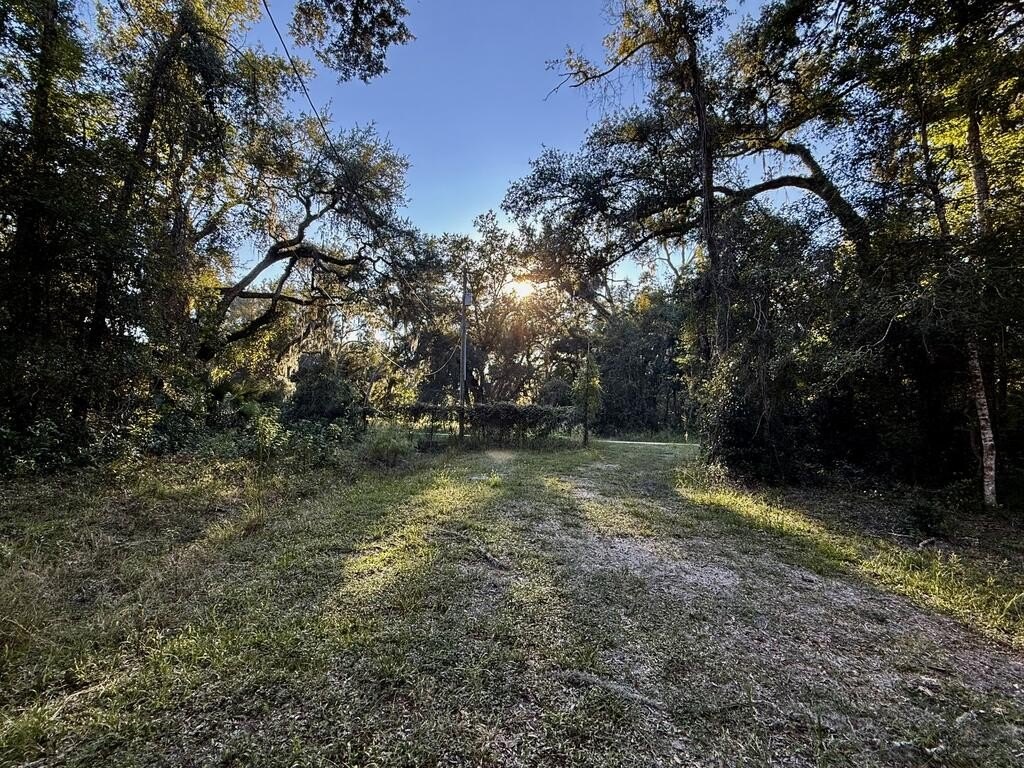 Picture 17