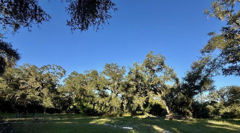 Land, Old Town, FL