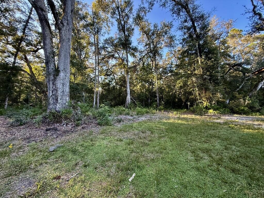 Picture 12