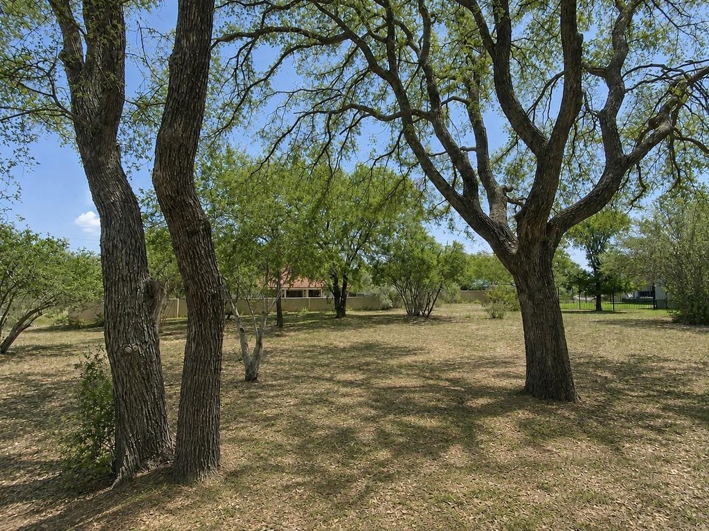 Picture 7