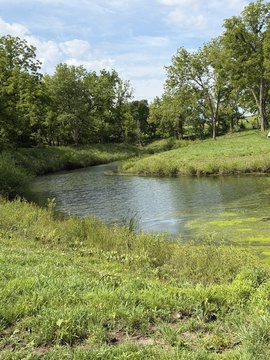 Land, Milo, IA